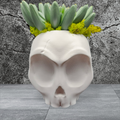 Surprised Skull Planter/Catch All