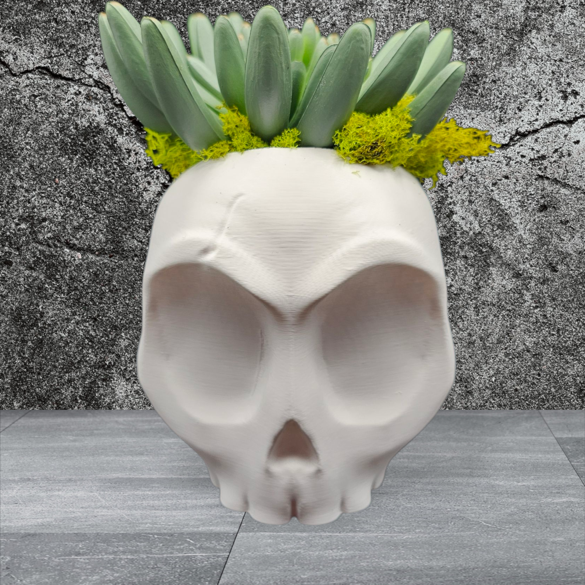 Surprised Skull Planter/Catch All