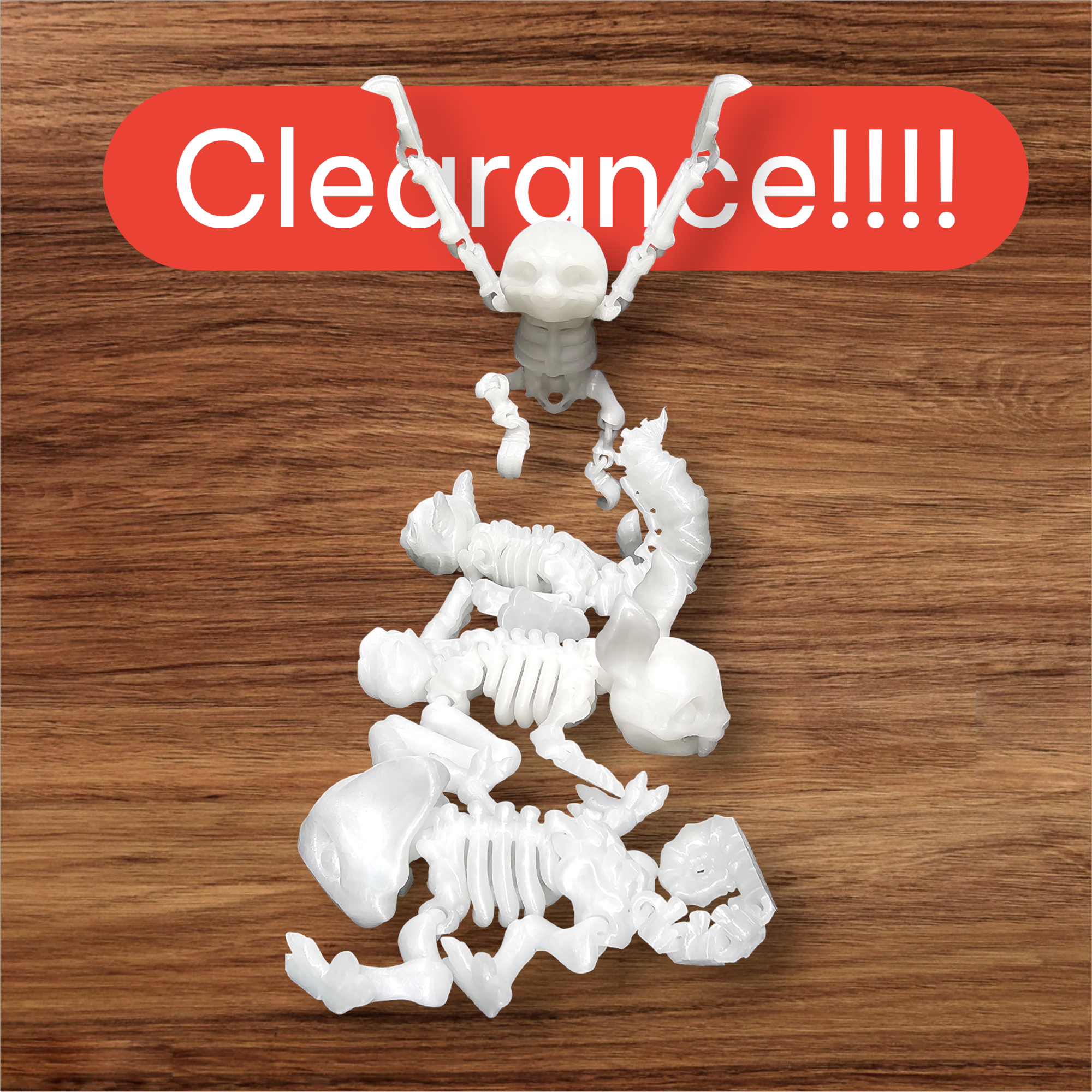 Articulated Skeleton Sloth, Rabbit, Squirrel, Chameleon - 4 PACK - 3 Printed