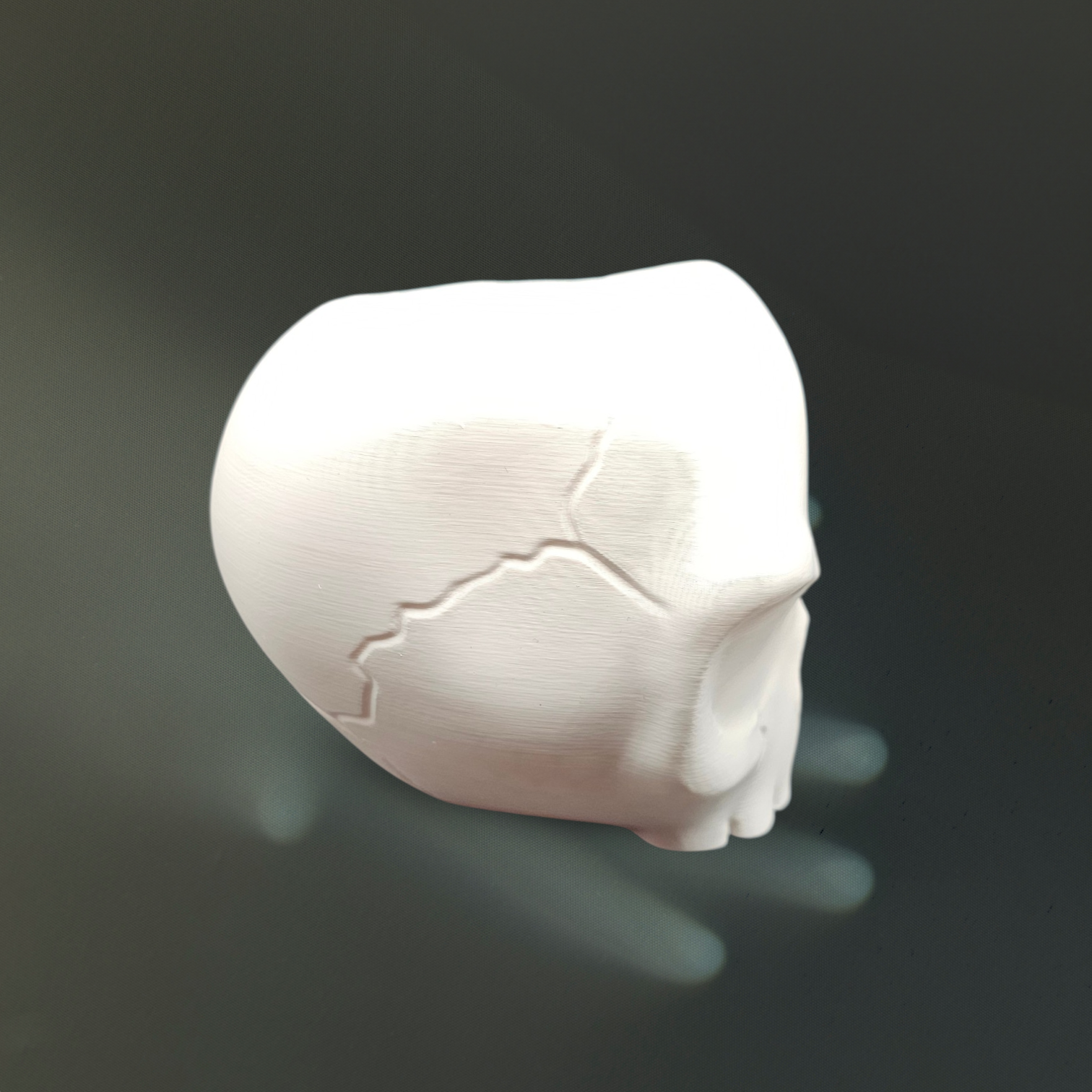 Angry Skull Planter - 3D Printed