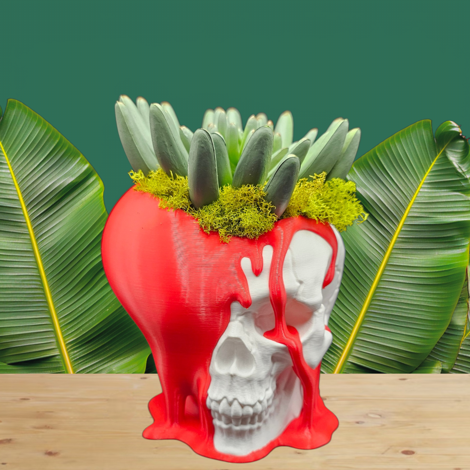 Dual-Sided Skull & Heart Planter | 3D Printed PETG - Love and Decay