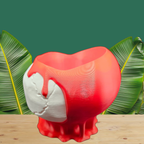 Dual-Sided Skull & Heart Planter | 3D Printed PETG - Love and Decay