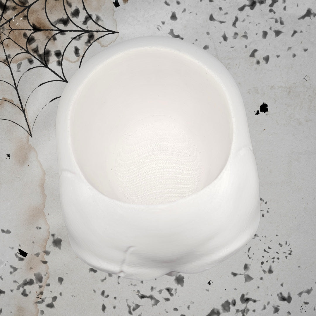 Surprised Skull Planter/Catch All