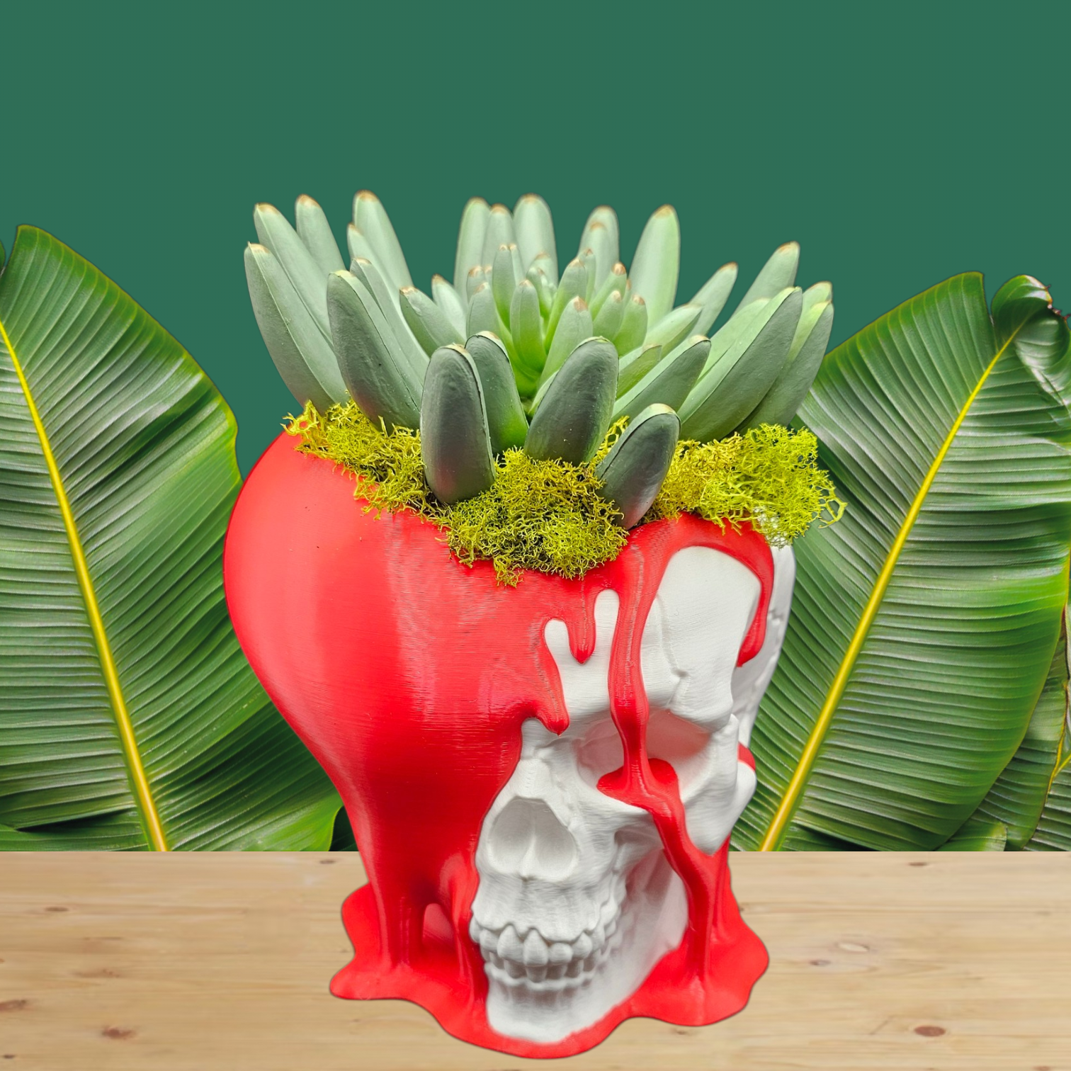 Dual-Sided Skull & Heart Planter | 3D Printed PETG - Love and Decay