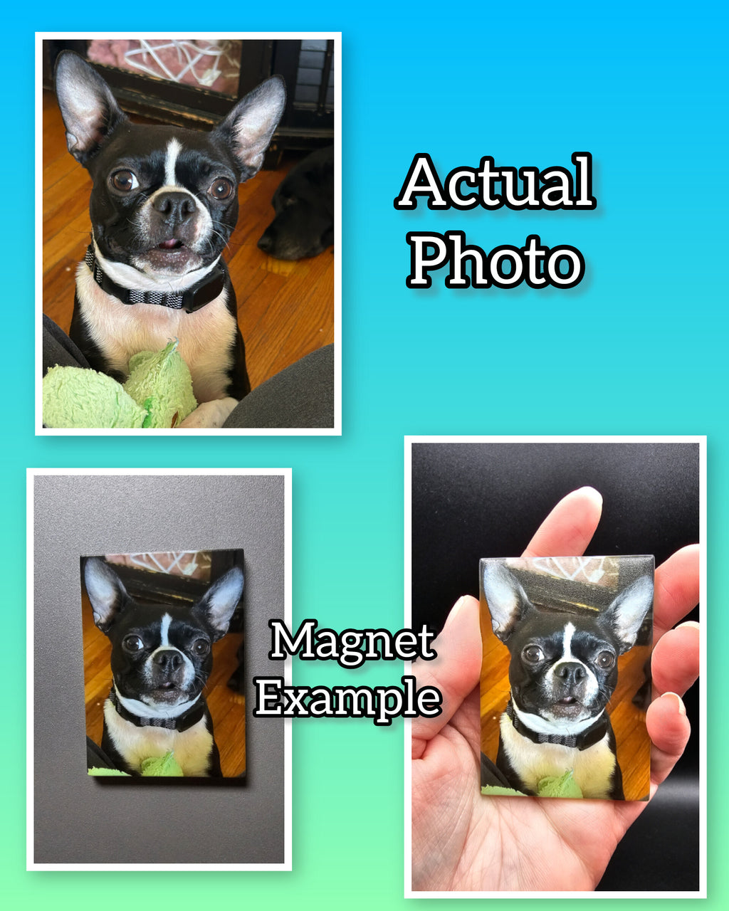 Custom Printed Glass Magnet - Personalized Photo Magnet