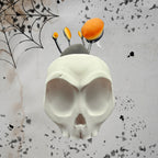 Surprised Skull Planter/Catch All