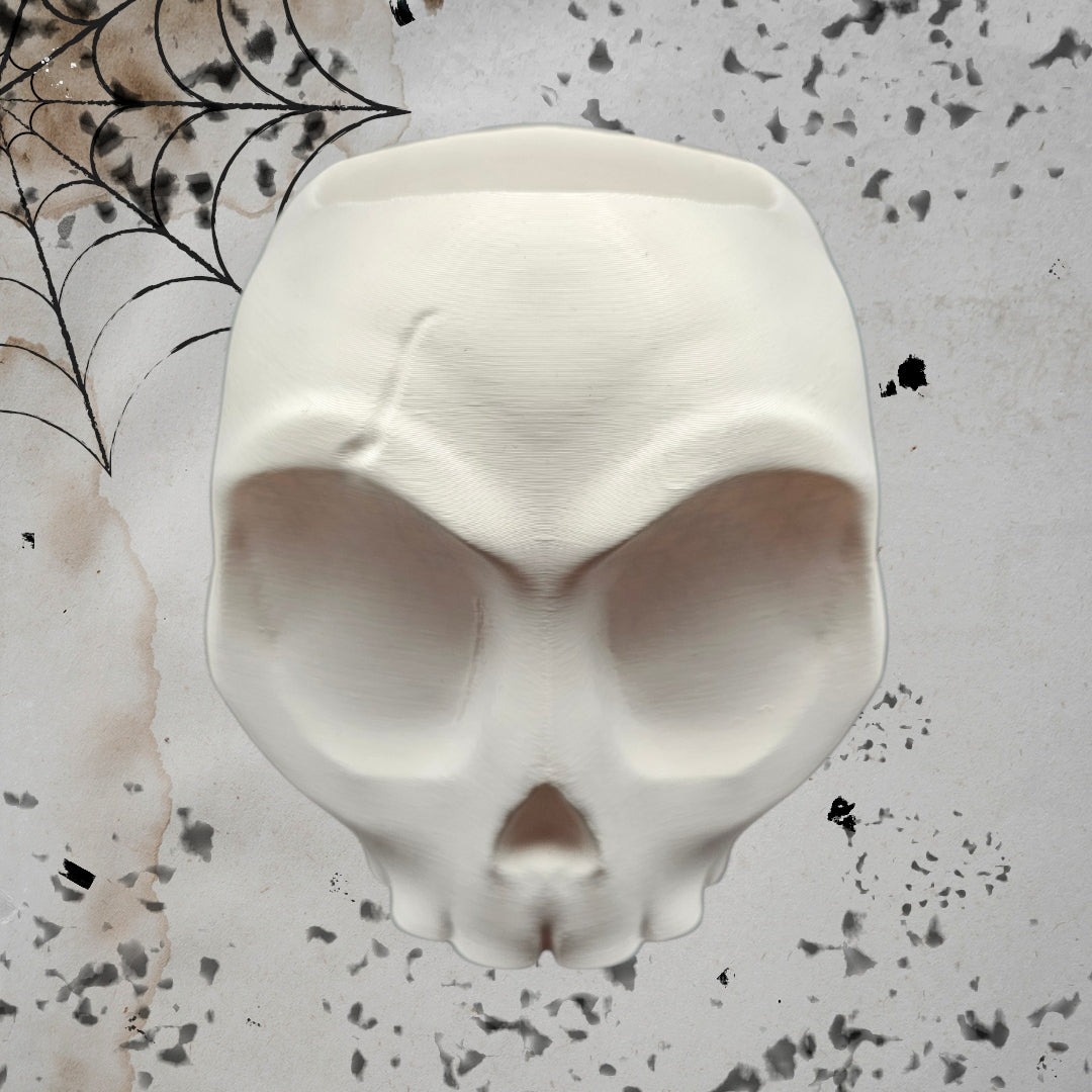 Surprised Skull Planter/Catch All