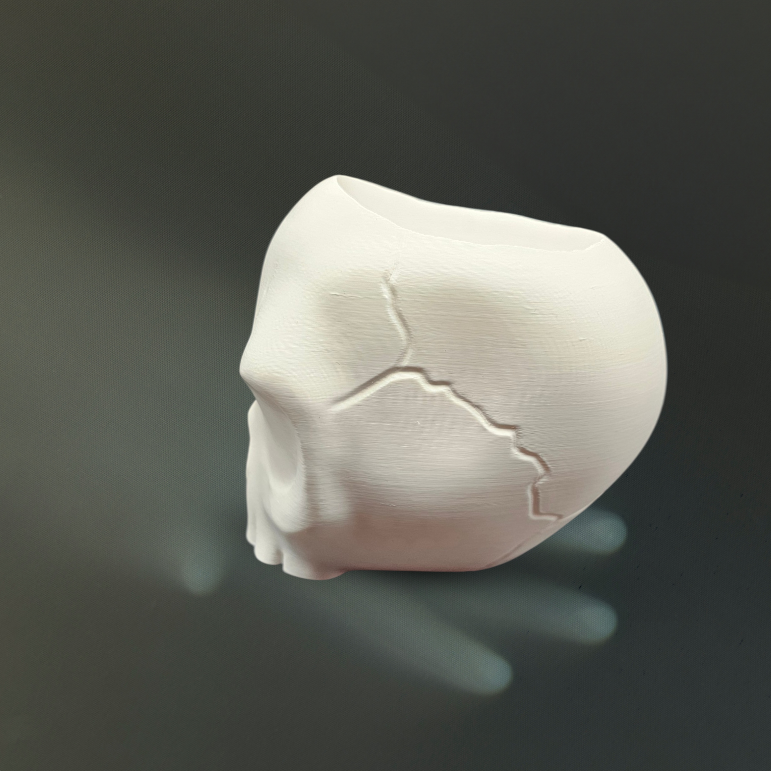 Angry Skull Planter - 3D Printed