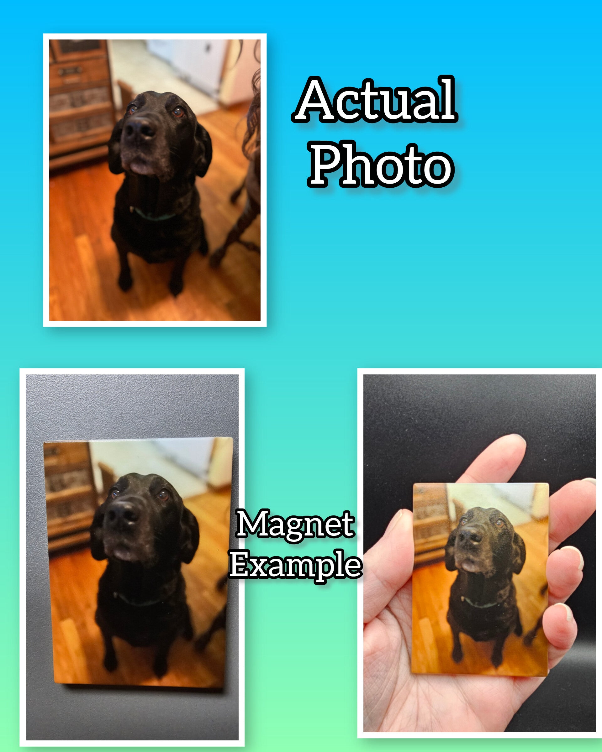 Custom Printed Glass Magnet - Personalized Photo Magnet