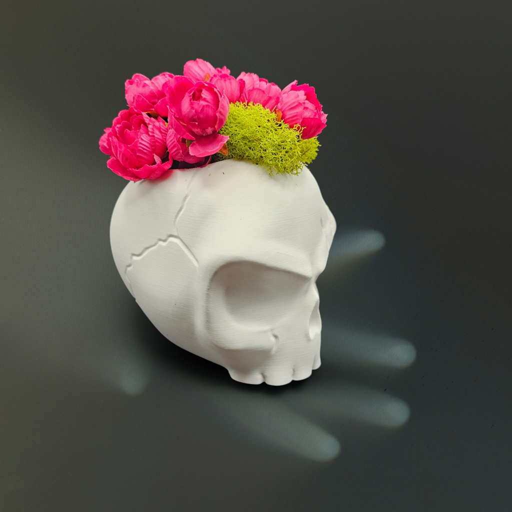 Angry Skull Planter - 3D Printed