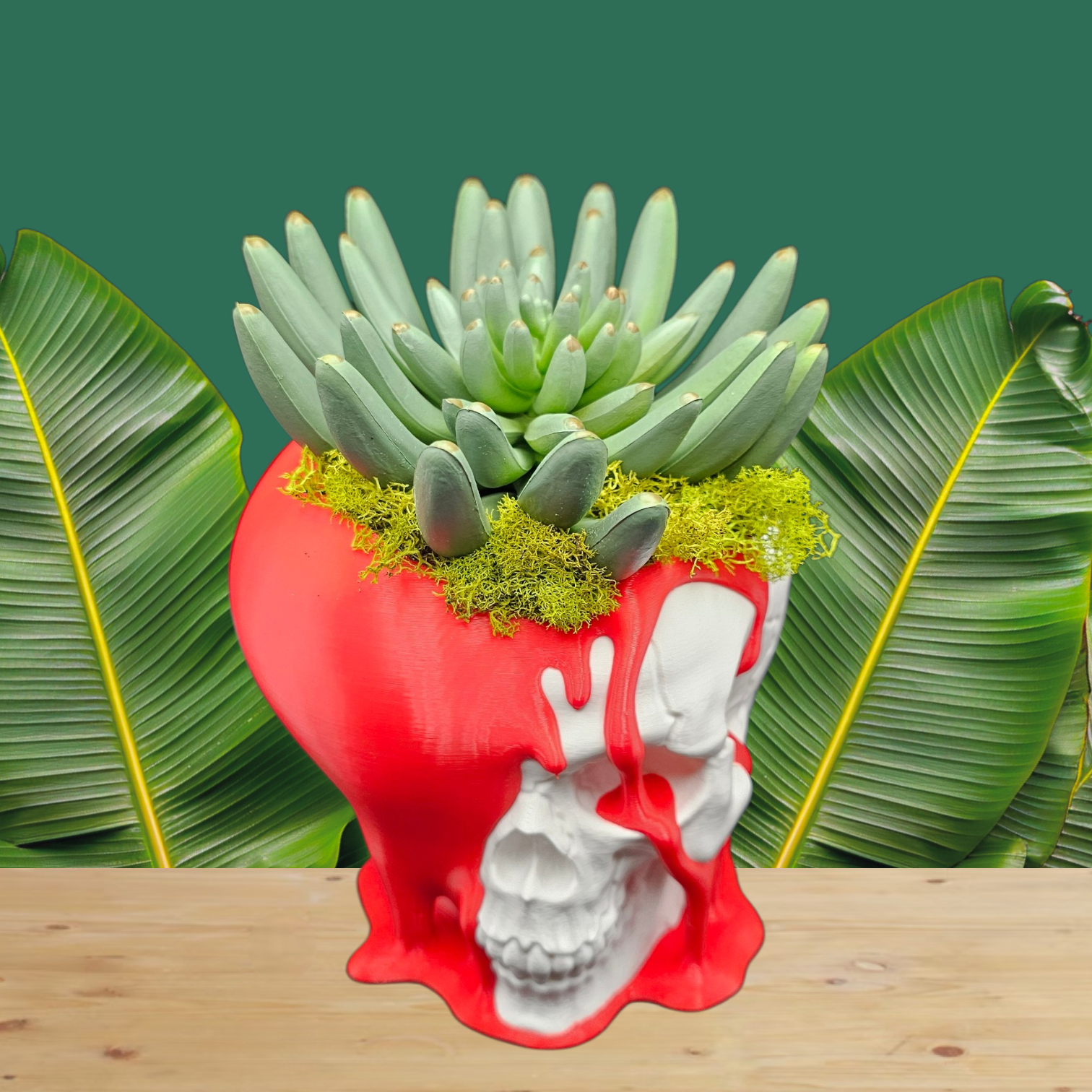 Dual-Sided Skull & Heart Planter | 3D Printed PETG - Love and Decay