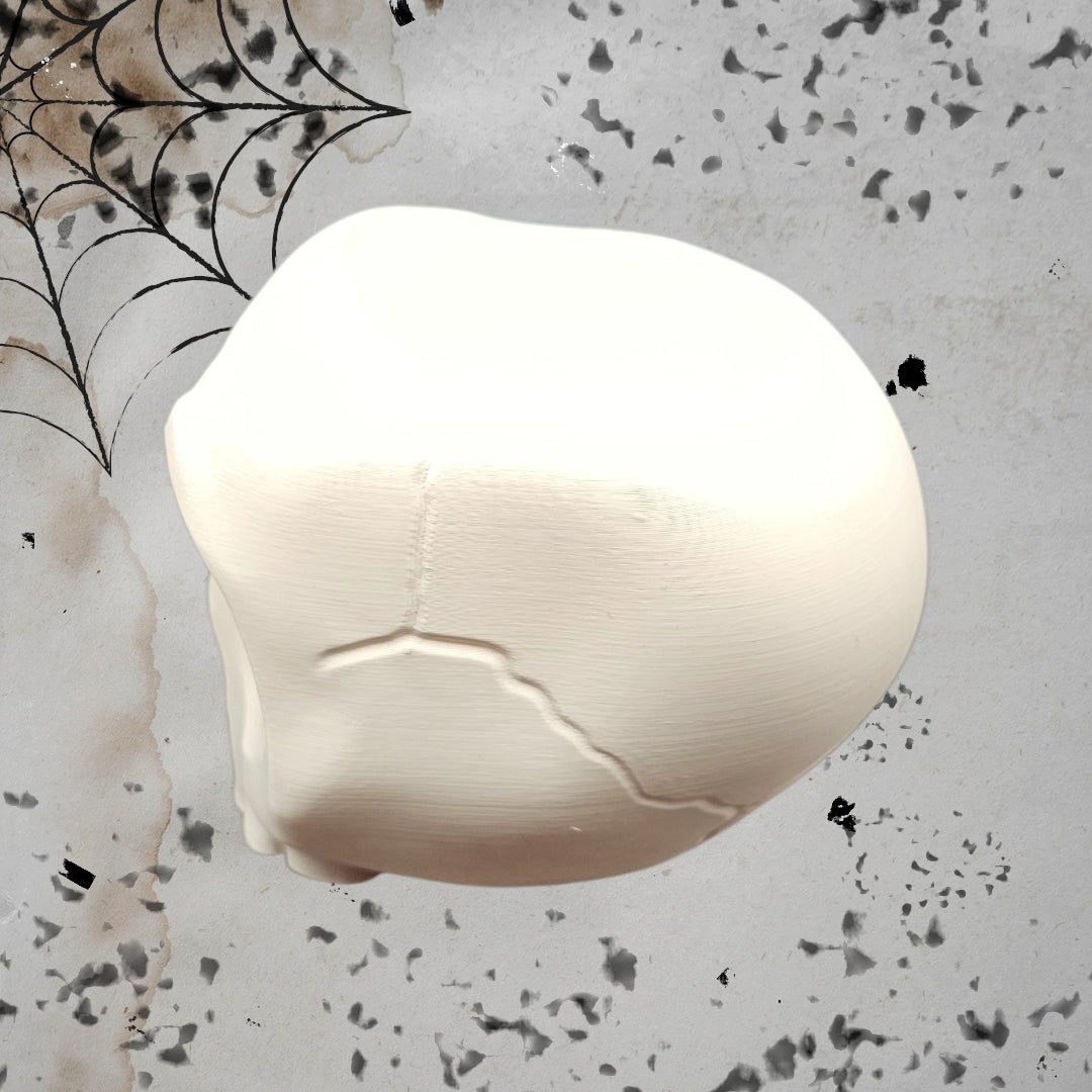 Surprised Skull Planter/Catch All