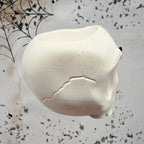 Surprised Skull Planter/Catch All